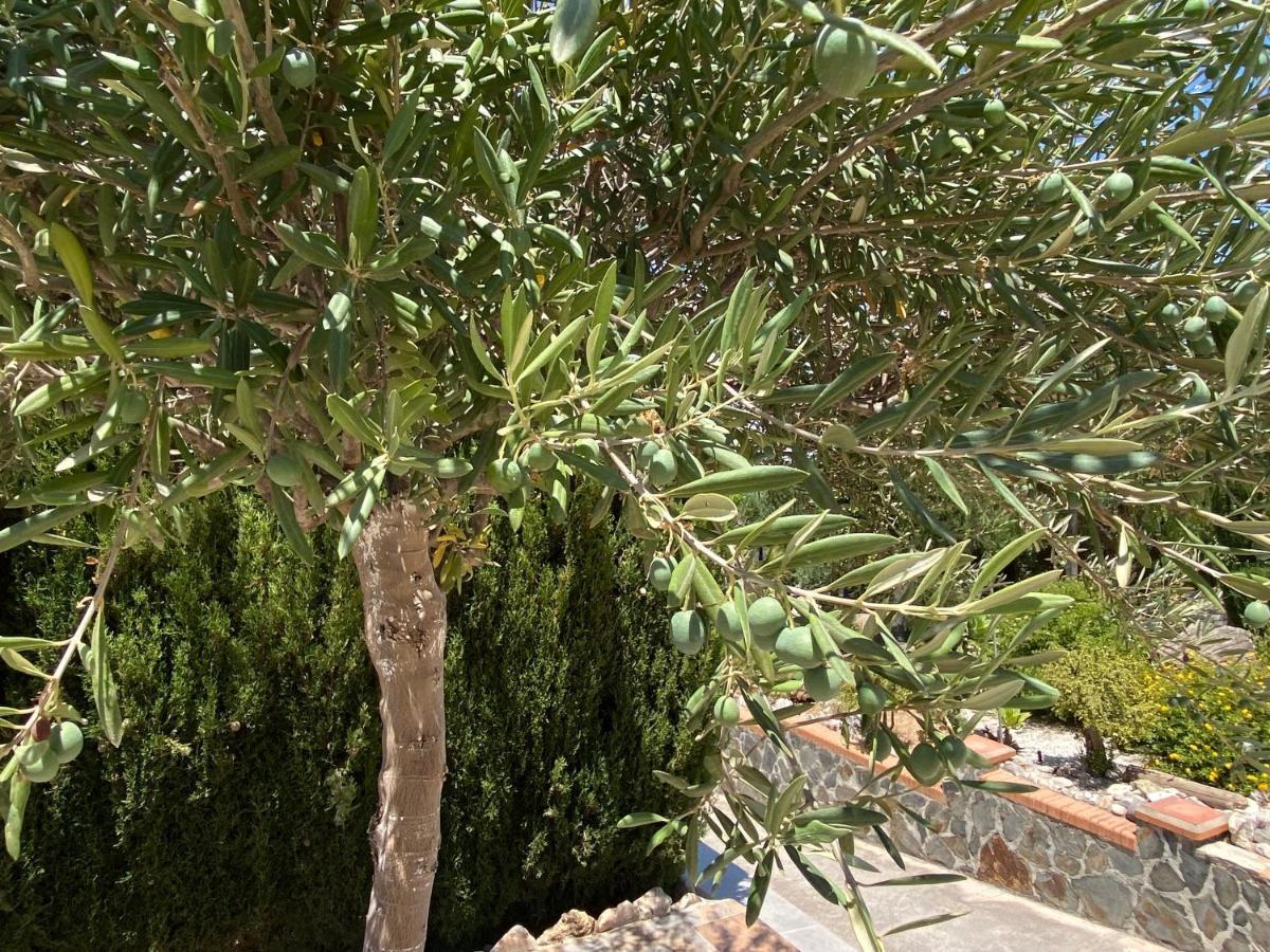 B&B Casa Oceo - Malaga - Andalusie Alhaurín de la Torre Extérieur photo